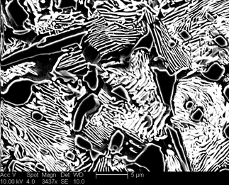 /static/micrographs/micrograph1390.png