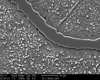 /static/micrographs/micrograph1391.png