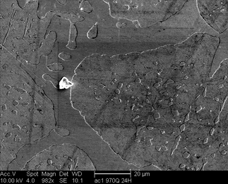 /static/micrographs/micrograph1392.png