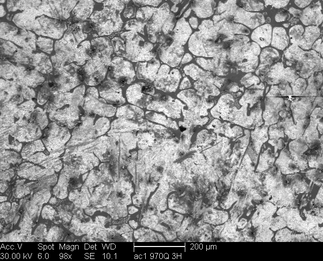 /static/micrographs/micrograph1394.png