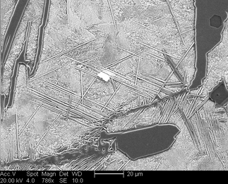 /static/micrographs/micrograph1395.png
