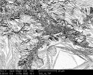 /static/micrographs/micrograph1396.png