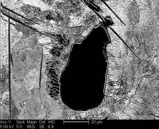 /static/micrographs/micrograph1398.png