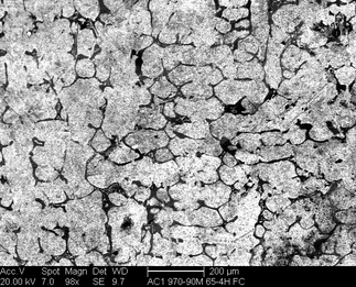 /static/micrographs/micrograph1399.png