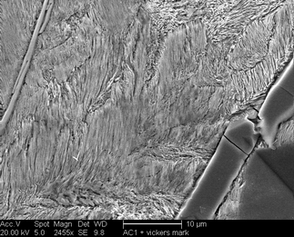 /static/micrographs/micrograph1400.png