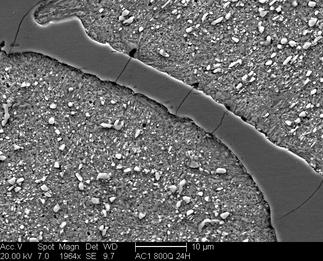 /static/micrographs/micrograph1404.png