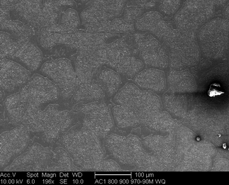 /static/micrographs/micrograph1405.png