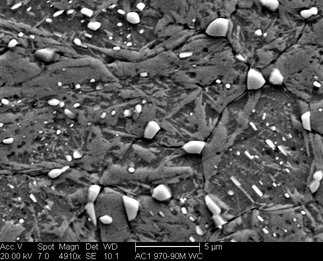/static/micrographs/micrograph1407.png