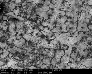 /static/micrographs/micrograph1409.png