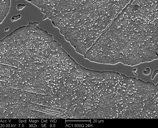 /static/micrographs/micrograph1411.png