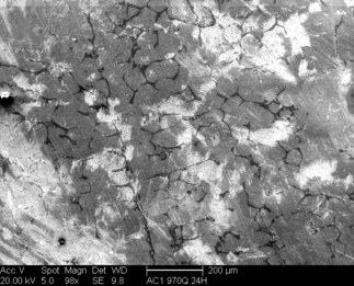 /static/micrographs/micrograph1412.png
