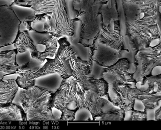 /static/micrographs/micrograph1414.png