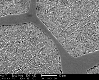 /static/micrographs/micrograph1415.png