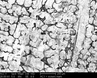 /static/micrographs/micrograph1420.png