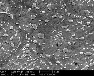 /static/micrographs/micrograph1422.png