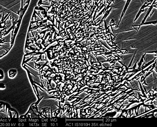 /static/micrographs/micrograph1424.png