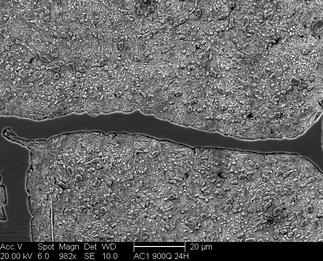 /static/micrographs/micrograph1426.png