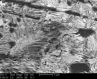 /static/micrographs/micrograph1432.png