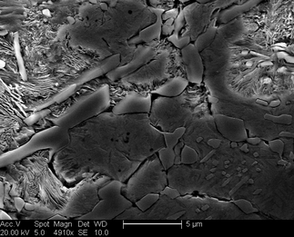 /static/micrographs/micrograph1433.png