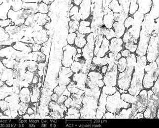 /static/micrographs/micrograph1436.png