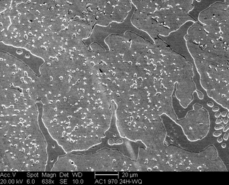 /static/micrographs/micrograph1440.png