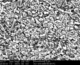 /static/micrographs/micrograph1441.png