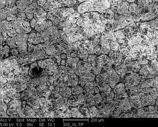 /static/micrographs/micrograph1444.png