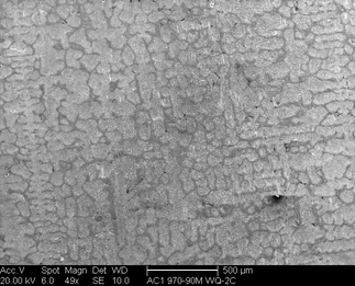 /static/micrographs/micrograph1446.png