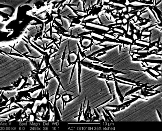 /static/micrographs/micrograph1449.png