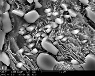 /static/micrographs/micrograph1450.png