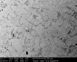 /static/micrographs/micrograph1451.png