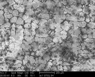/static/micrographs/micrograph1454.png