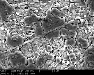 /static/micrographs/micrograph1455.png