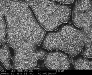 /static/micrographs/micrograph1457.png