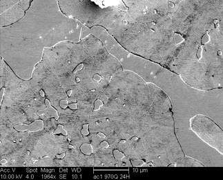 /static/micrographs/micrograph1466.png