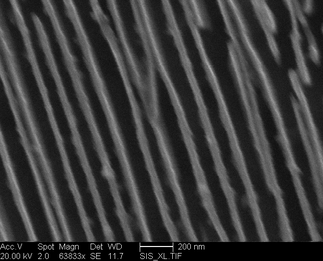 /static/micrographs/micrograph1467.png