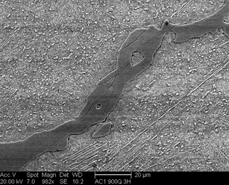 /static/micrographs/micrograph1469.png
