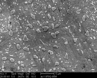 /static/micrographs/micrograph1474.png