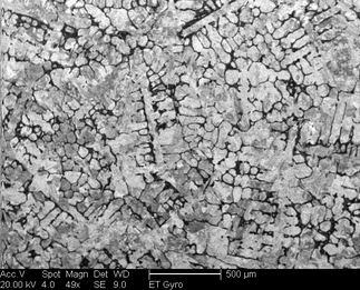 /static/micrographs/micrograph1479.png
