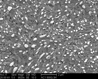 /static/micrographs/micrograph1482.png