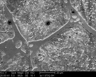 /static/micrographs/micrograph1483.png
