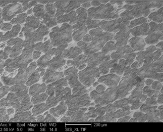 /static/micrographs/micrograph1485.png