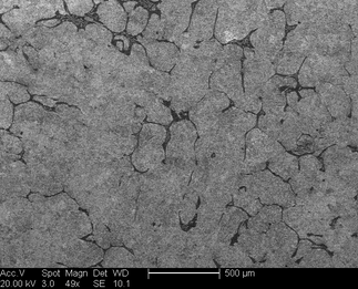 /static/micrographs/micrograph1487.png