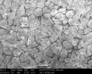 /static/micrographs/micrograph1490.png