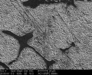 /static/micrographs/micrograph1492.png