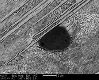 /static/micrographs/micrograph1497.png