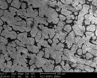 /static/micrographs/micrograph150.png