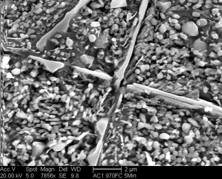 /static/micrographs/micrograph1500.png