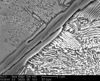 /static/micrographs/micrograph1501.png