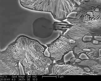 /static/micrographs/micrograph1502.png